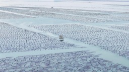 福建連江縣：海上“牧漁”忙