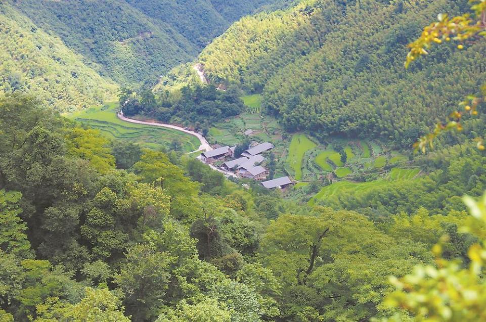 南平浦城雙同村：詩與遠方 就在家鄉