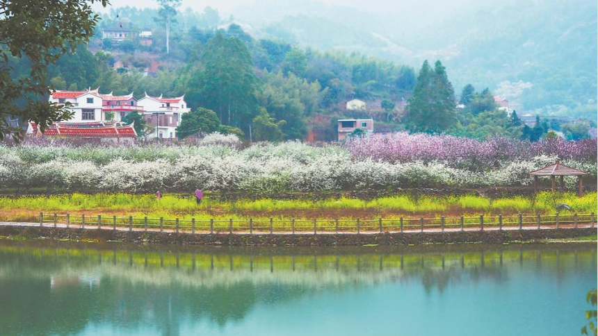 漳州：當“金點子”與“泥土味”相遇
