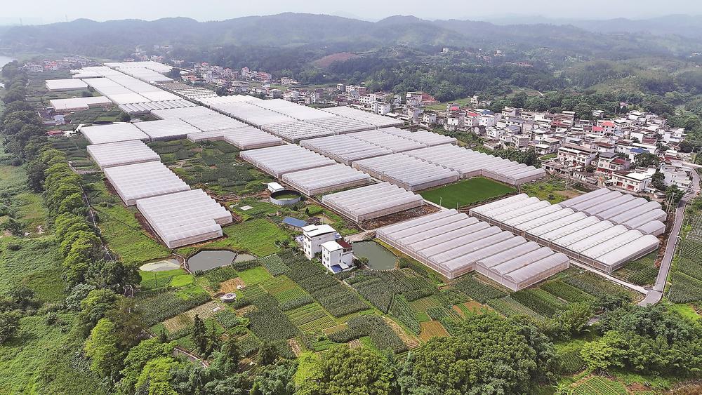 龍岩上杭：加快城鄉融合 促進共同富裕