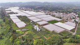 龍岩上杭：加快城鄉融合 促進共同富裕