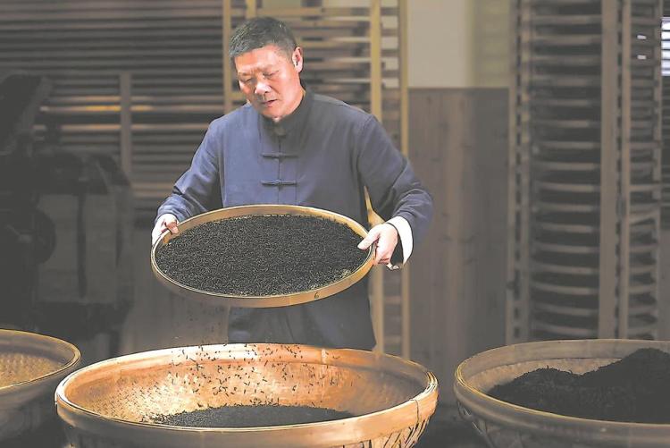 寧德福安：俏銷新紅茶 氤氳花果香