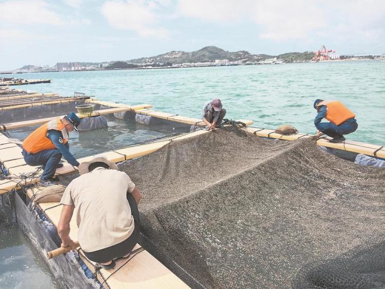福建全力防禦颱風“丹娜絲” 76條客渡運航線停航