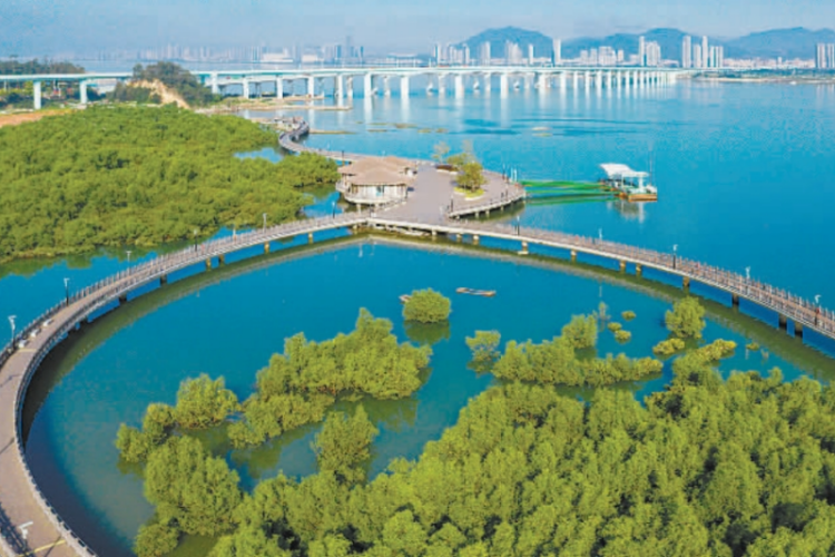 廈門推進海洋生態保護 建設全國海洋經濟發展示範區_fororder_微信截圖_20250604092613_副本