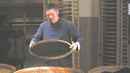 寧德福安：俏銷新紅茶 氤氳花果香
