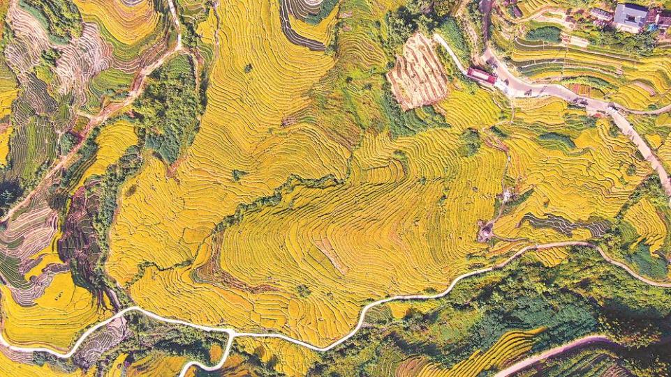 福建：谷豐倉滿 糧安八閩