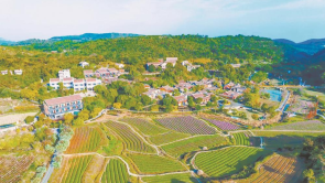 廈門：駐村規劃師“畫”出鄉村新面貌