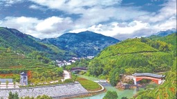 寧德福安坦洋：當好“領頭羊” 奔向共富路