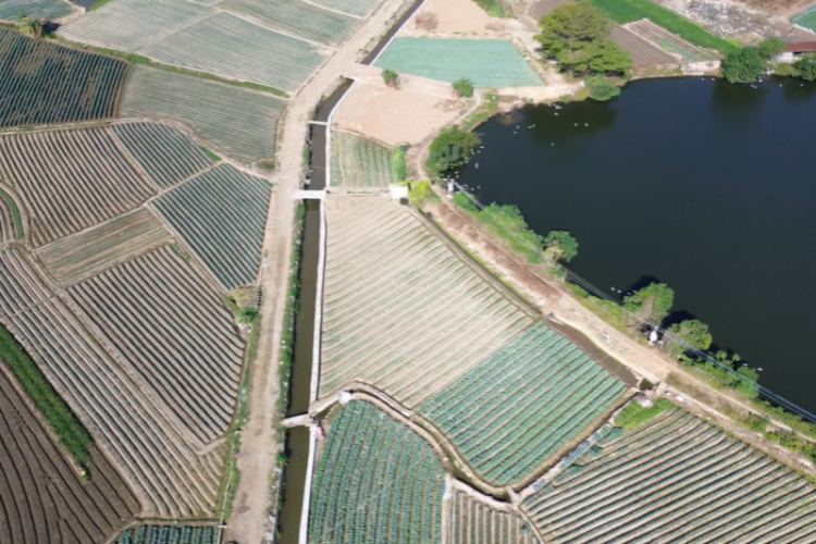 漳州市灌區改造取得成效 改善灌溉面積44.58萬畝_fororder_圖片1_副本