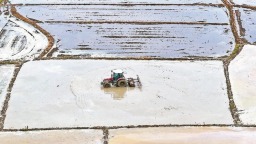 福州江田鎮：穀雨時節農事忙