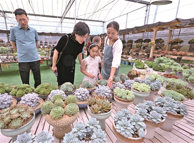 寧德：打好政策組合拳 全方位繁榮消費市場_fororder_p1_b
