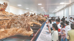 莆田木雕“刻活”京杭大運河