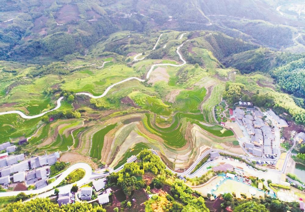 南平政和：念山雲上梯田景區展現獨特魅力
