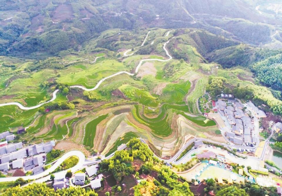 南平政和：念山雲上梯田景區展現獨特魅力