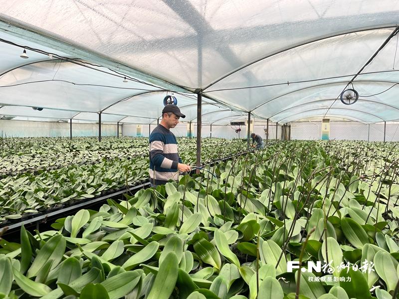 顏值變産值 福州高新區打造“賞花+”消費新場景