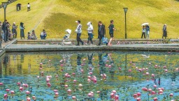 湖光蓮影寄春色
