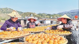 泉州永春縣：柿餅飄香日子甜