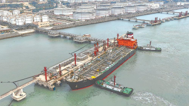 中國香港籍“阿黛爾”輪順利停靠泉州鬥尾港區