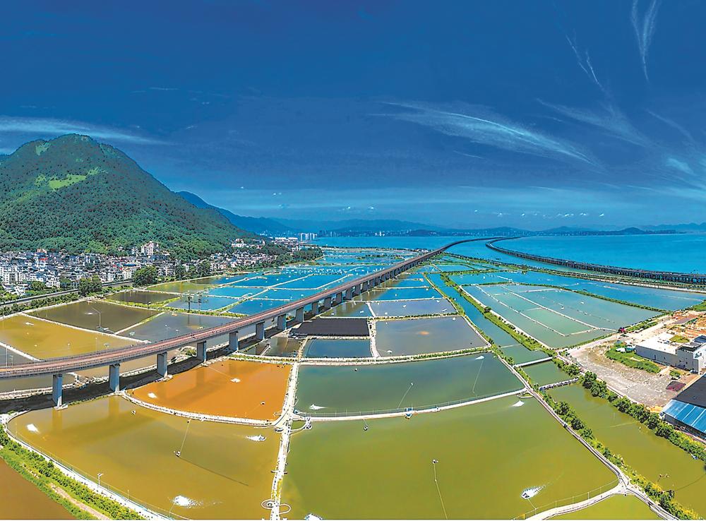 溫福鐵路：福寧跑出山海協作“加速度”