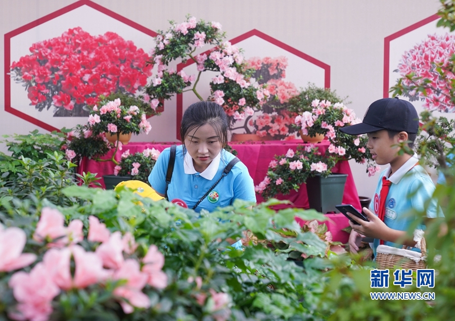 福建漳平：花木産業助農增收