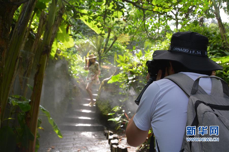 廈門市園林植物園醉遊人