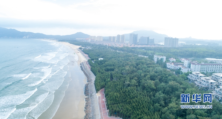 “蝶島”蝶變：昔日“風沙之島” 今日“東海綠洲”