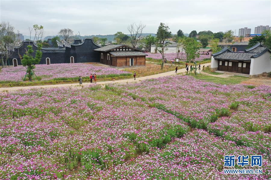 福州：打造特色街區 促進鄉村旅遊發展