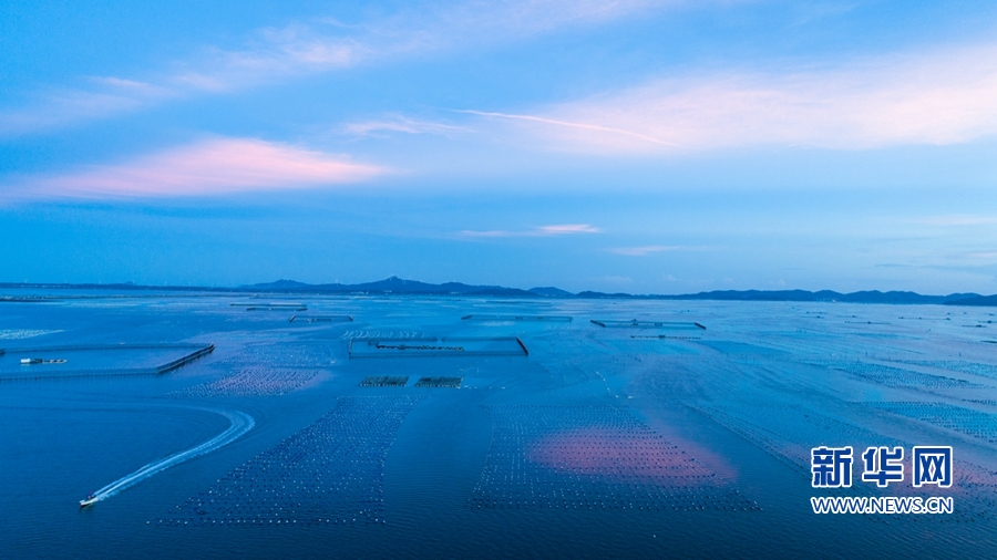 “蝶島”蝶變：昔日“風沙之島” 今日“東海綠洲”