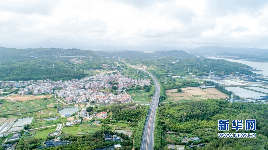 “蝶島”蝶變：昔日“風沙之島” 今日“東海綠洲”