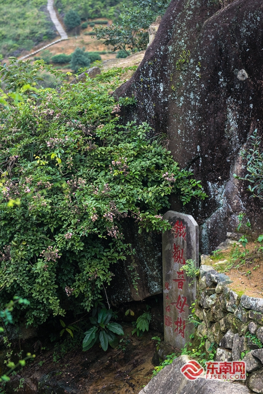 泉州傳統村落之安溪松岩村：千年古道走出香茗傳奇