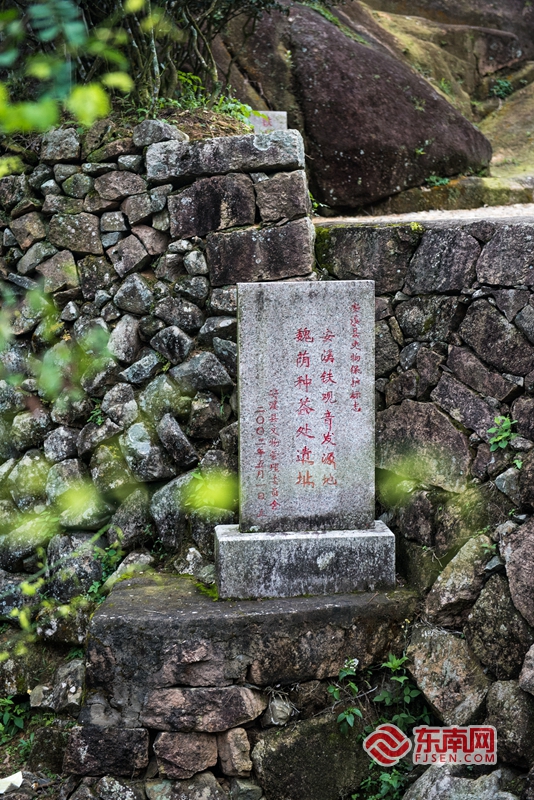 泉州傳統村落之安溪松岩村：千年古道走出香茗傳奇