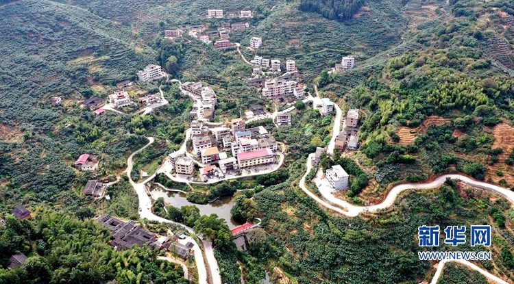 福建永春：美麗鄉村奔小康