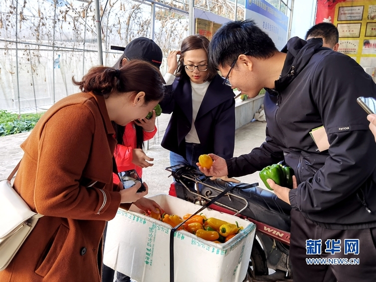 福建永春：美麗鄉村奔小康