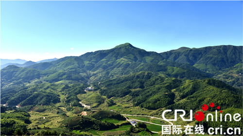 【CRI看福建主推】【寧德】【滾動新聞】【移動版】【Chinanews帶圖】寧德紫竹村企業家陳木成眼裏的“中國夢”：科技興農助推鄉村振興