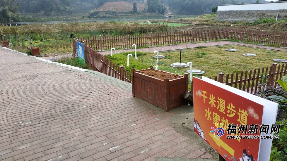 【福建時間主推】【福州】【移動版】【Chinanews帶圖】福州美麗鄉村建設生動實踐：天竹畬村油菜花開醉人心
