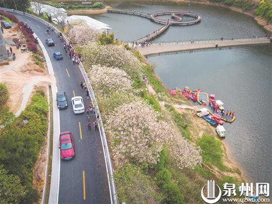 泉州在全省率先推進“四好農村路”示範市創建並出臺首個方案