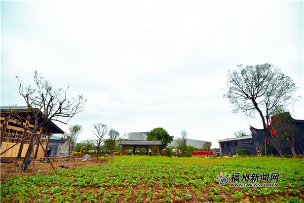 梁厝特色歷史文化街區一期項目力爭6月前修復完成