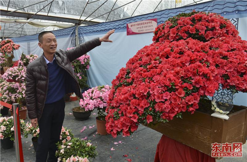 【焦點圖】【龍岩】【移動版】【Chinanews帶圖】漳平永福：“花花世界”成就美麗生態圈