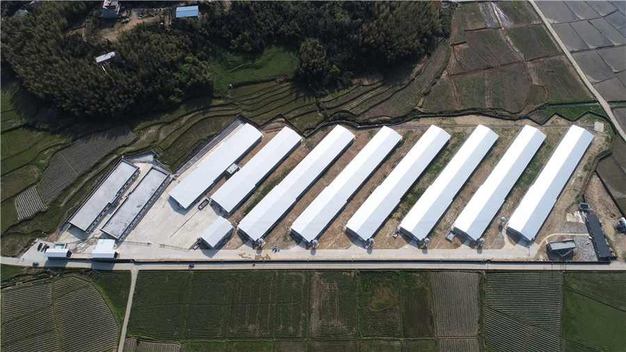 聖農集團肉雞飼養場技改擴建工程竣工