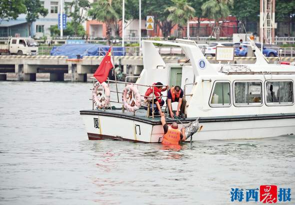 廈門市多部門聯防聯治備戰颱風季 今年的演習更加“接地氣”