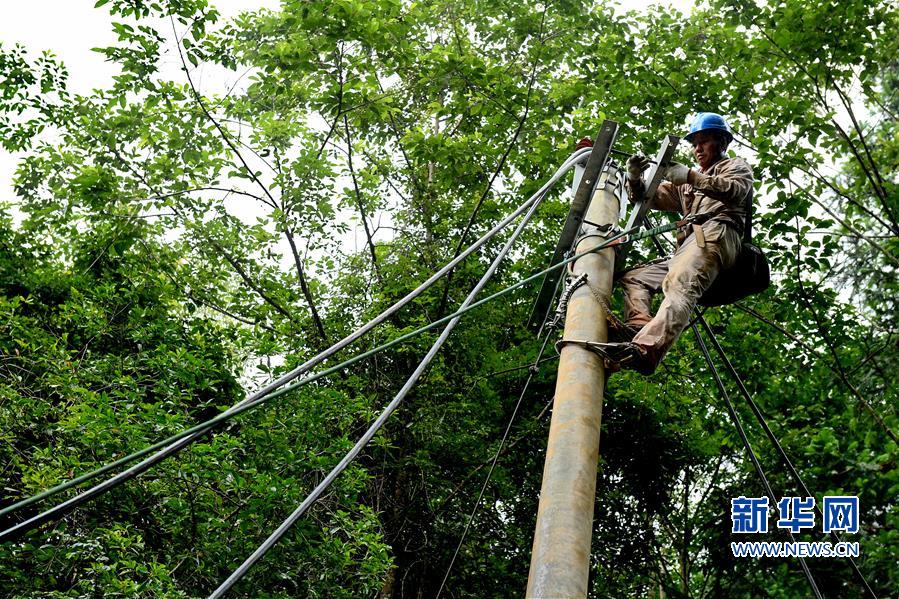 【焦點圖】【南平】福建武夷山：眾志成城抗洪救災