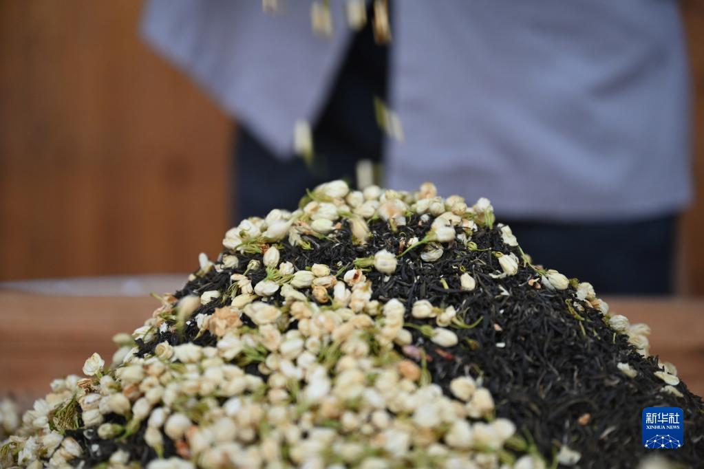 福州：茉莉花茶的傳統窨制工藝