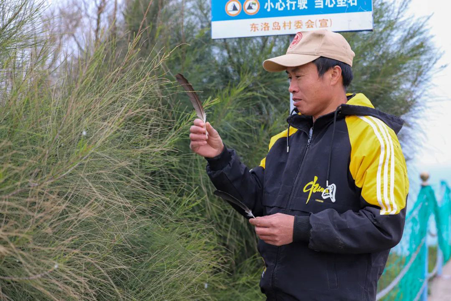 福建連江：從“千山鳥飛絕”到萬鳥翔集舞動天空