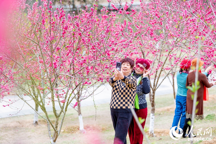 福州：滿園春花開 引得遊人醉