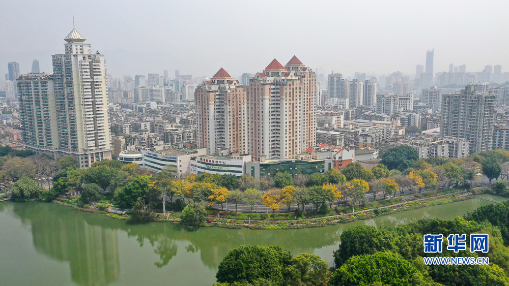 福州奇景：春風吹閩江 落葉滿榕城