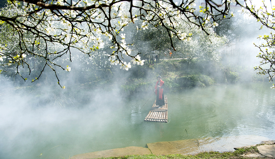 福建南靖：枳實花開“香雪海”