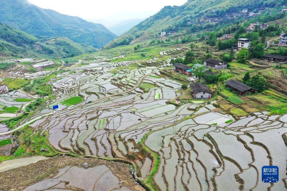 福建尤溪：聯合梯田重煥生機