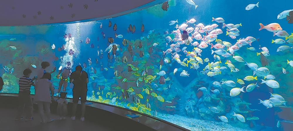 從“一號濱海風景道”建設看福建交旅融合發展新趨勢_fororder_d3a37735-381d-476d-b5b2-19bfbcfc0c18