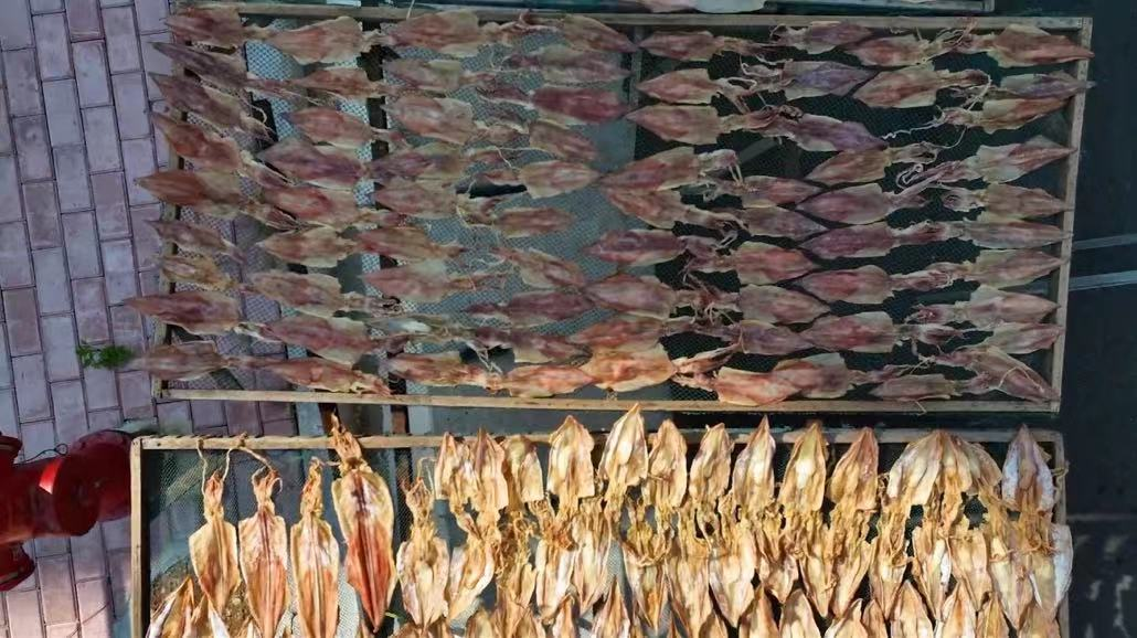 惠安小岞：“一村一品”繪就文旅經濟新圖景_fororder_圖片2
