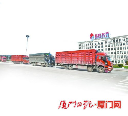 廈門：創新糧食全産業鏈服務 扛穩糧食安全重任_fororder_W020231016306444566975